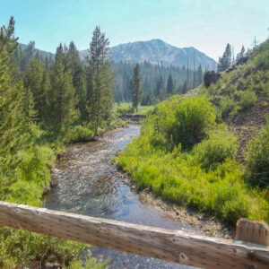 Idaho Mountain River