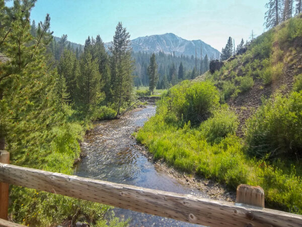 Idaho Mountain River - Image 2