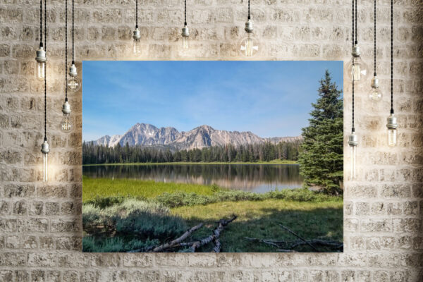 Lush Green Idaho Mountain Lake