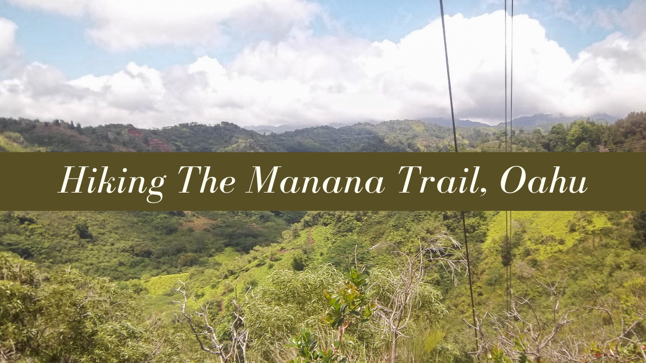 Hiking The Manana Trail On Oahu