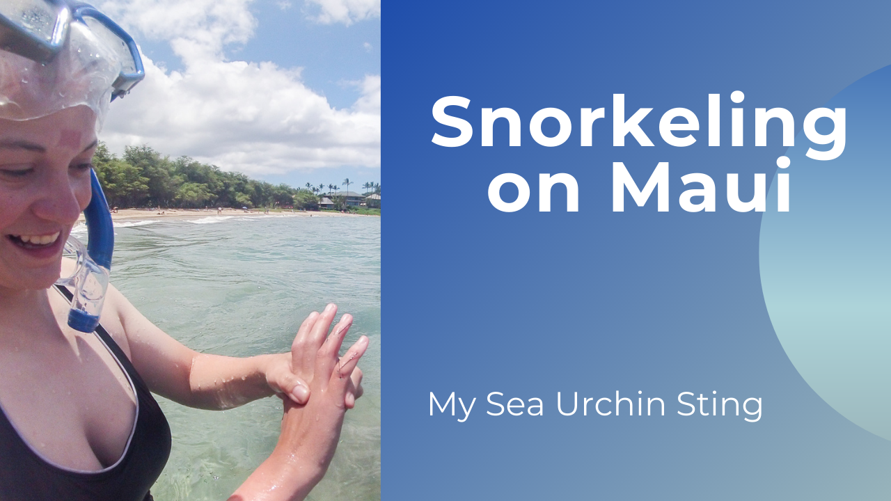 Hawaii Island Hopping Part 1 – Snorkeling On Maui And My Run In With A Sea Urchin!