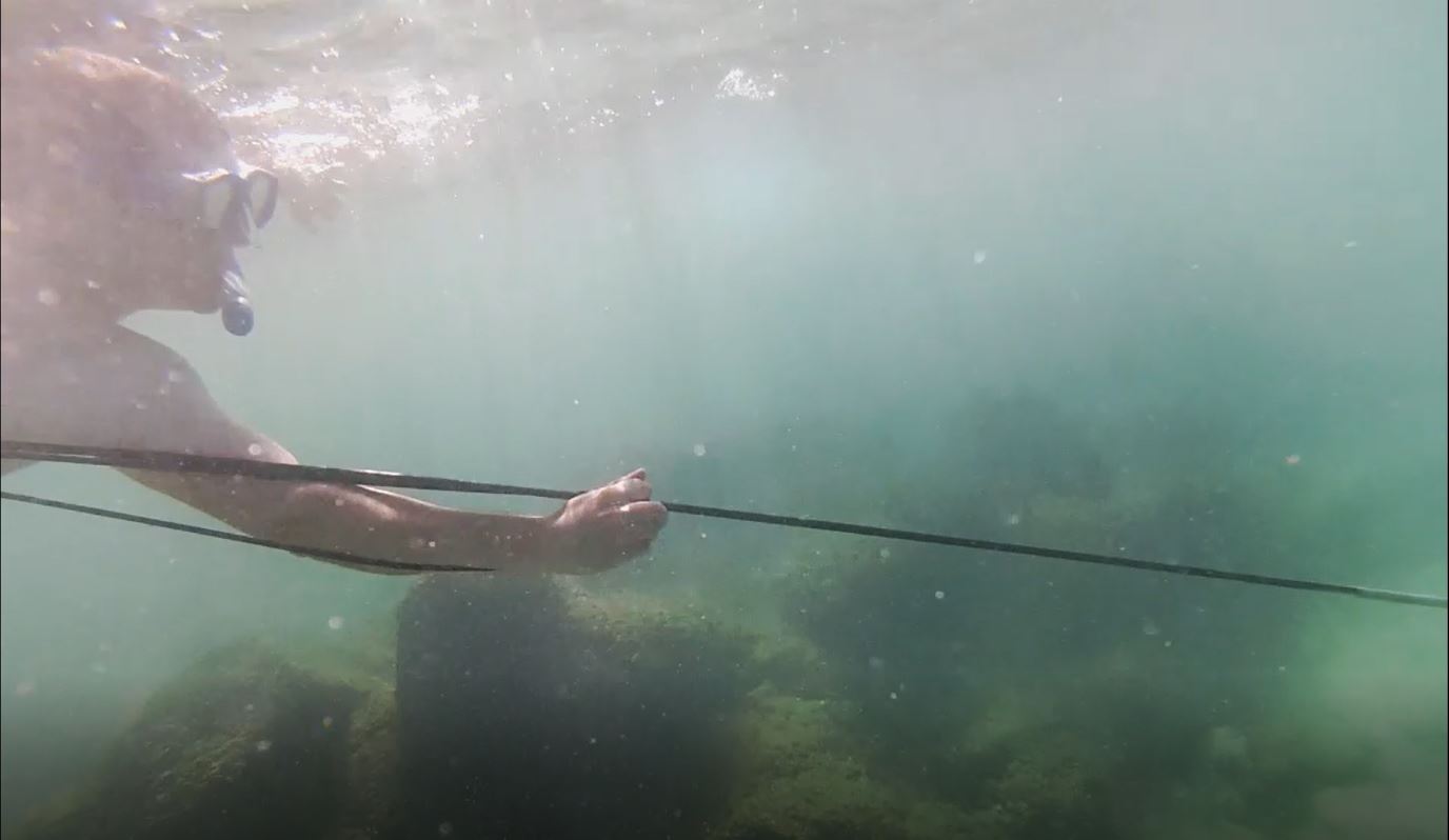 Spear Fishing For The First Time On The North Shore Of Oahu