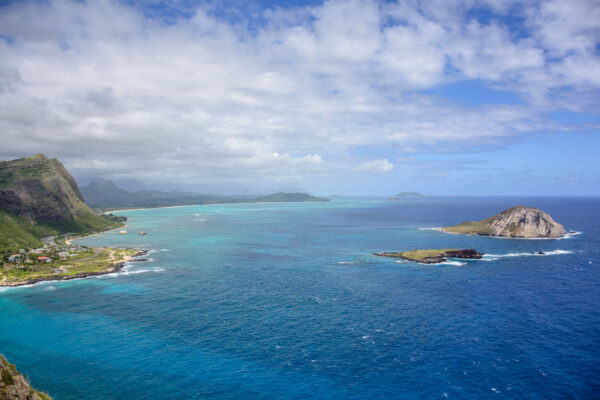 Looking Across the Blue Ocean