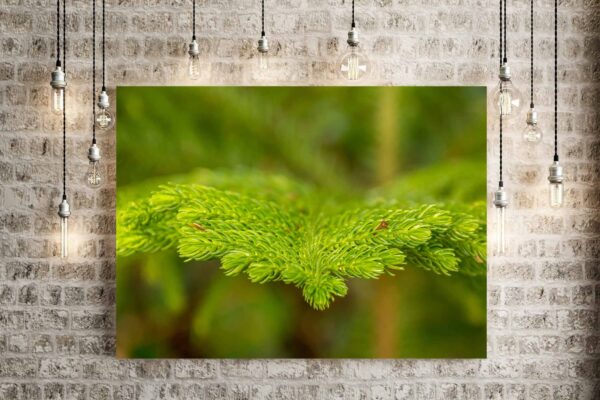 Green Pine Tree Needles - Image 3