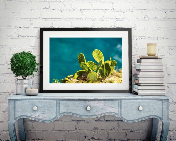 Green Cactus Backed By The Ocean - Image 2