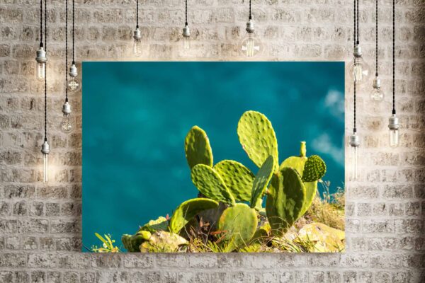 Green Cactus Backed By The Ocean - Image 3