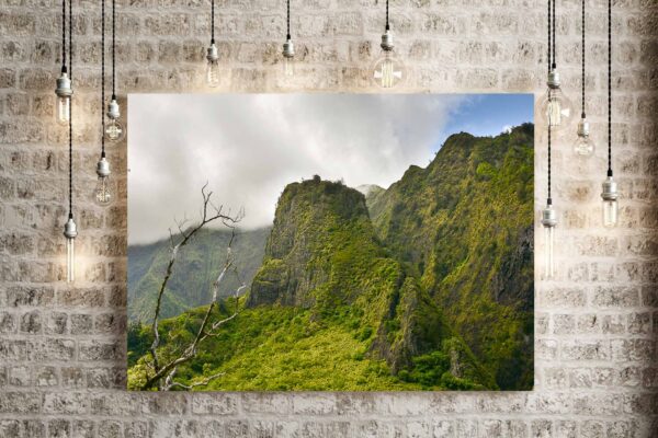 The Rugged Iao Needle - Image 3