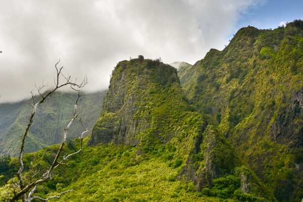 The Rugged Iao Needle