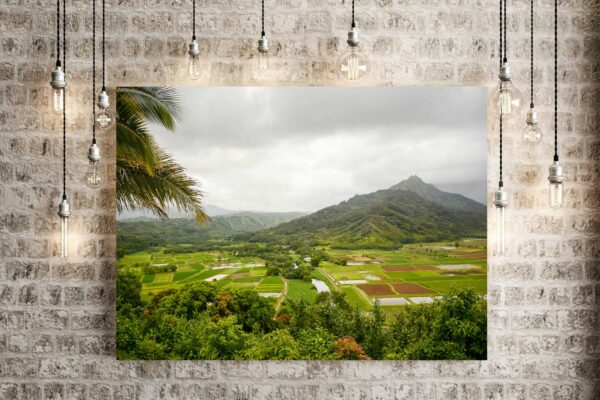 View of Hanalei Valley on island of Kauai