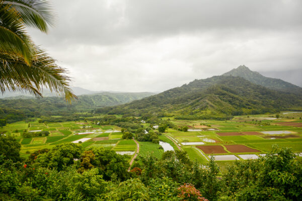 View of Hanalei Valley on island of Kauai - Image 2